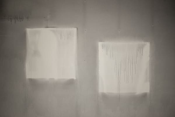 Untitled 11600-6197, 2016 Digital pigment print 20x30 inches ed 2/10