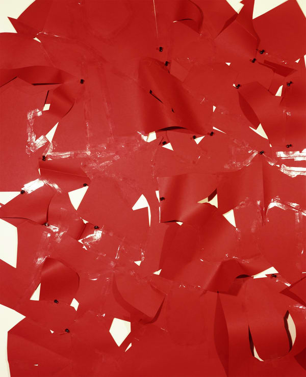 Other Picture #2 (Swaddled Organs), 2018 Inkjet print 30 x 37 inches ed 1/3