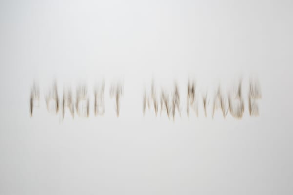 Whitney Claflin Forget Marriage, 2017 Lighter burn on wall