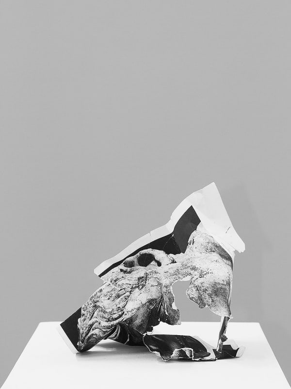 Nicolas Lamas Damnatio memoriae #1, 2013 Print on cotton paper 31.5x23.5 inches