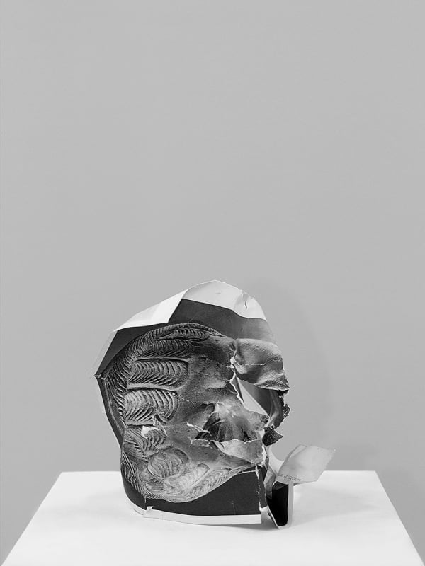 Nicolas Lamas Damnatio memoriae #10, 2013 Print on cotton paper 31.5x23.5 inches