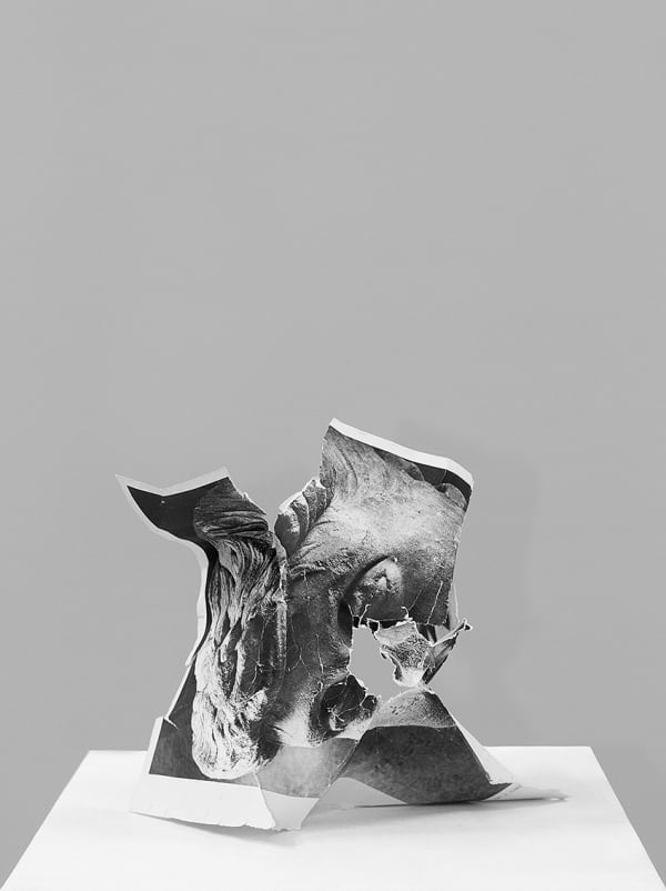 Nicolas Lamas Damnatio memoriae #5, 2013 Print on cotton paper 31.5x23.5 inches