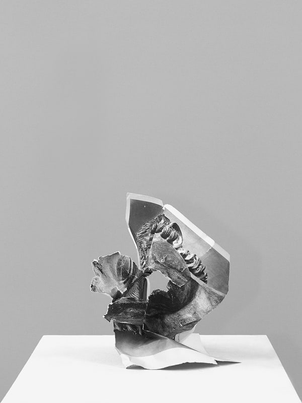 Nicolas Lamas Damnatio memoriae #7, 2013 Print on cotton paper 31.5x23.5 inches