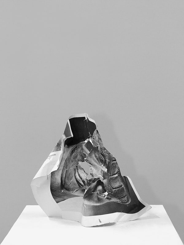 Nicolas Lamas Damnatio memoriae #8, 2013 Print on cotton paper 31.5x23.5 inches