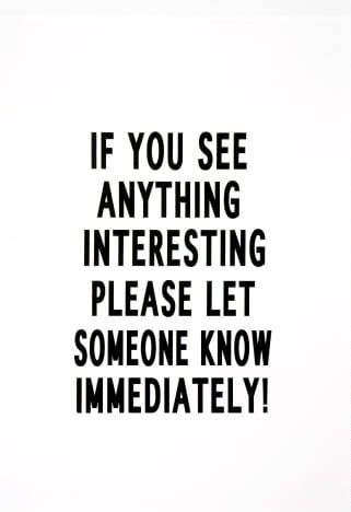 Mads Lynnerup If You See Anything Interesting, 2007 Silkscreen print on paper 18x24 inches edition 14/15