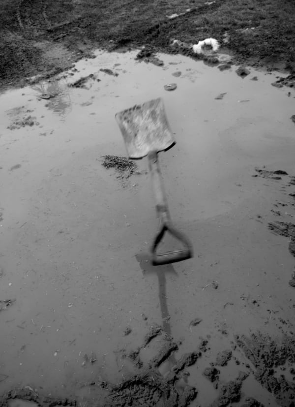 Raymond Meeks and Adrianna Ault Winter Auction #24, 2019 Carbon pigment print 14 x 11” [HxW] (35.56 x 27.94 cm) Edition 1 of 5, 2 AP