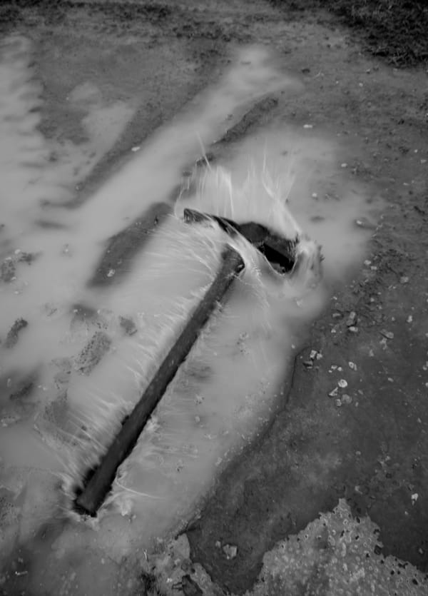 Raymond Meeks and Adrianna Ault Winter Auction, 2019 Carbon pigment print 14 x 11” inches Edition 1 of 5, 2 AP