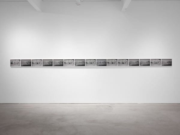 Tarah Douglas Untitled (no 1-15), 2020 archival pigment print paper: 10 x 15 inches installation 10 x 225 inches edition of 3 + 2AP