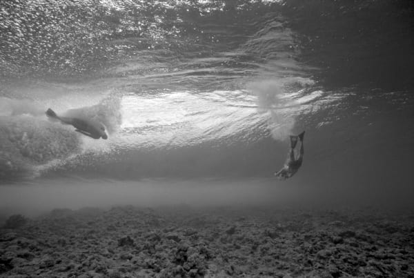 Bodysurf 04, 2013 Silver gelatin print 9 x 13 ¼ inches (18 ¾ x 22 ½ inches framed) Edition of 5
