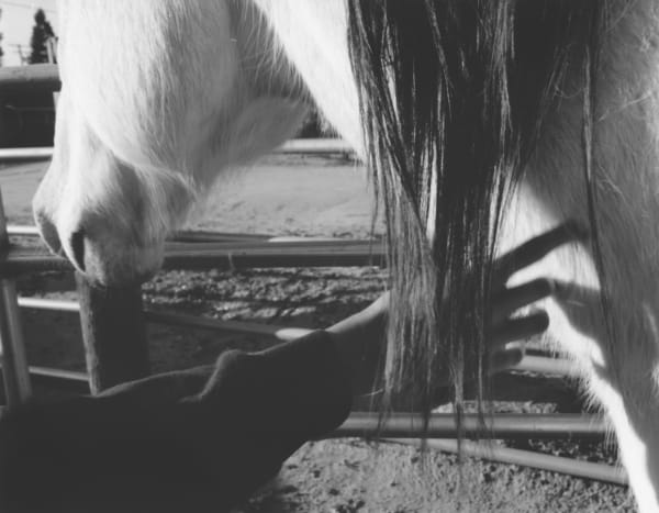 Charles Lee It’s about trust III Gelatin silver print 24 x 36 inches (60.96 x 91.44 cm) mounted