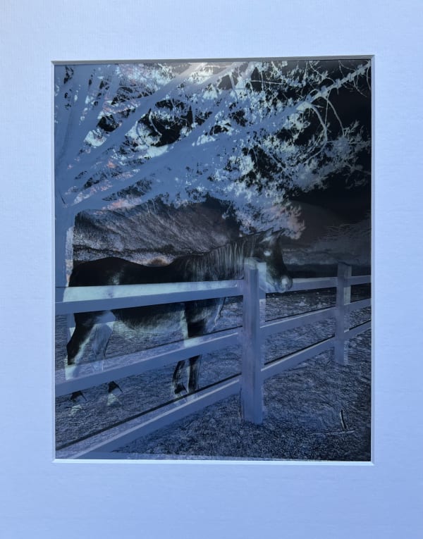 Deena Qabazard To the purple sand, 2019 Inkjet print 8 x 10 inches (20.32 x 25.4 cm) Edition 1 of 3