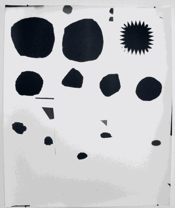 Aspen Mays Burn Collection, 2012 Gelatin silver photogram 22 x 26 in. (framed)