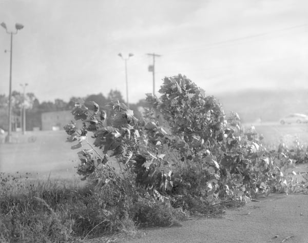 Raymond Meeks Halfstory #955 Canajaharie NY 2016, 2019 Carbon pigment print 33 x 45 in. (framed)