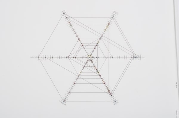 Sonya Rapoport A 20th Century Portrait (Unknown), 1979 Plotter print, Prismacolor and pencil on vellum 31 x 40 inches