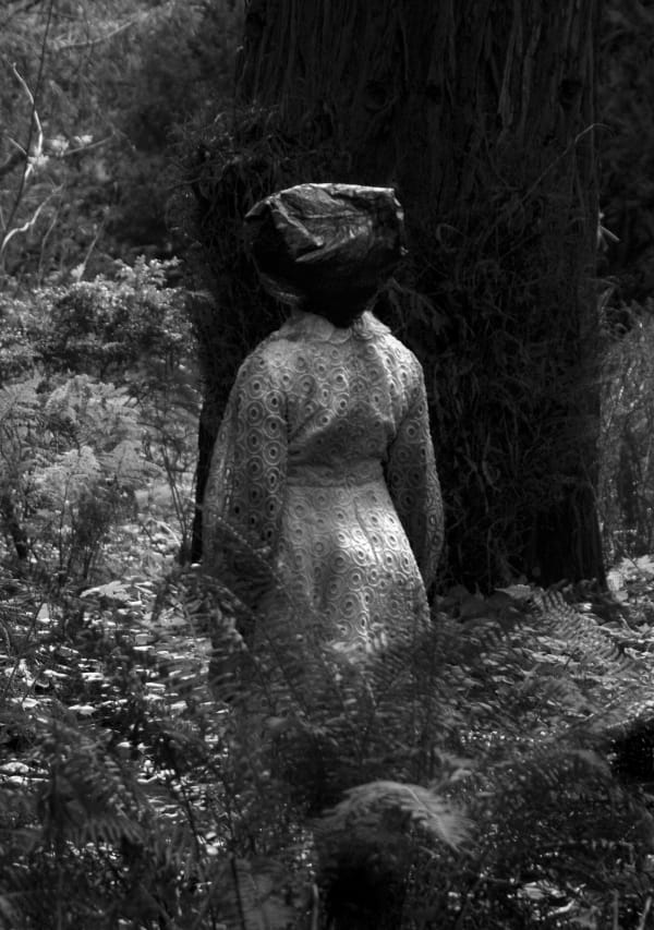 Suné Woods, a little north and a bit west, 2010