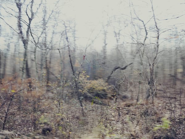 Raymond Meeks, P1240203-2