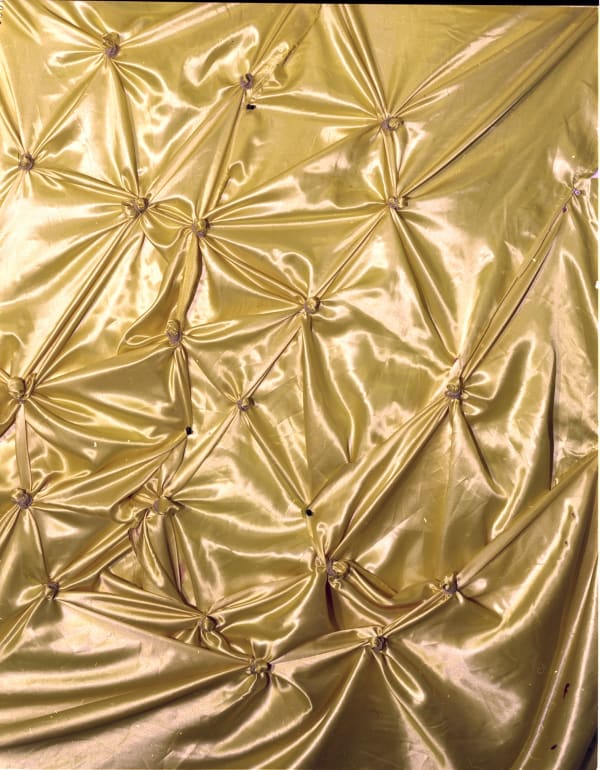 Whitney Hubbs, Other Picture #3 (Swaddled Organs), 2018