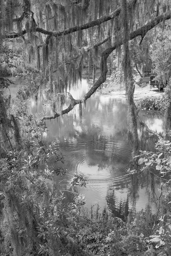 Nabil Harb Carter Road, 2020 Archival pigment print 37 x 25 inches edition of 5 + 2 AP