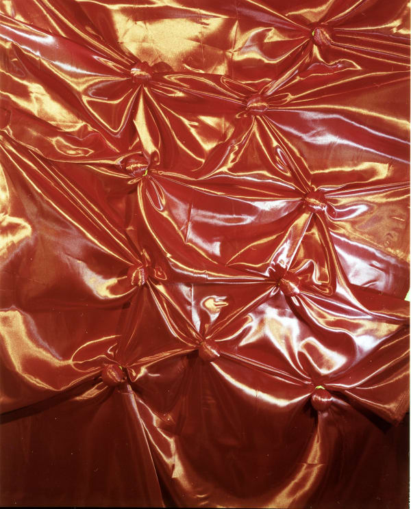 Whitney Hubbs Other Picture #4 (Swaddled Organs), 2018 Inkjet print 20 ¾ x 16 inches Edition 1/3