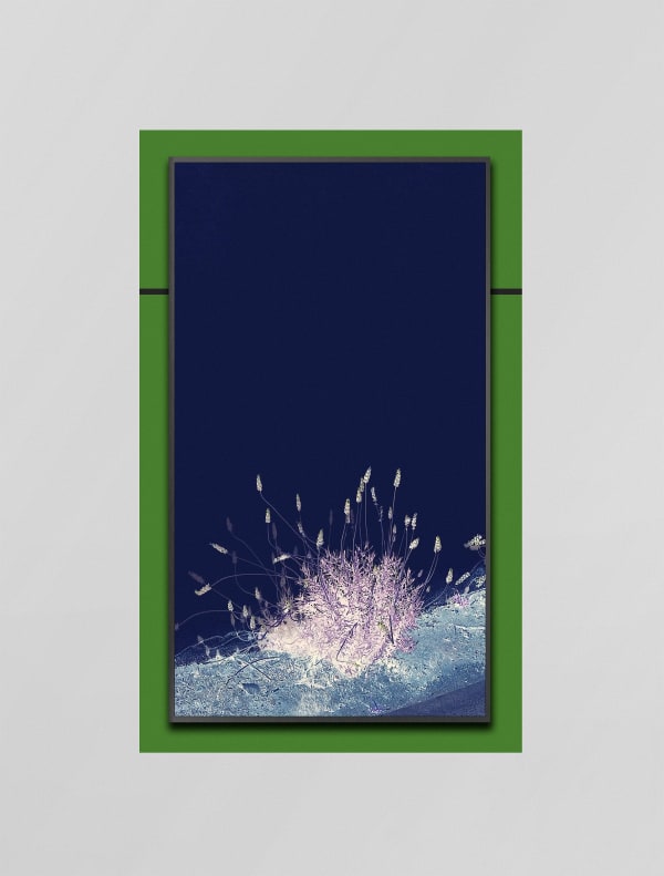 Owen Kydd Summer, 2018 Adhesive pigmented print with video on UHD display 32" x 53" edition of 3