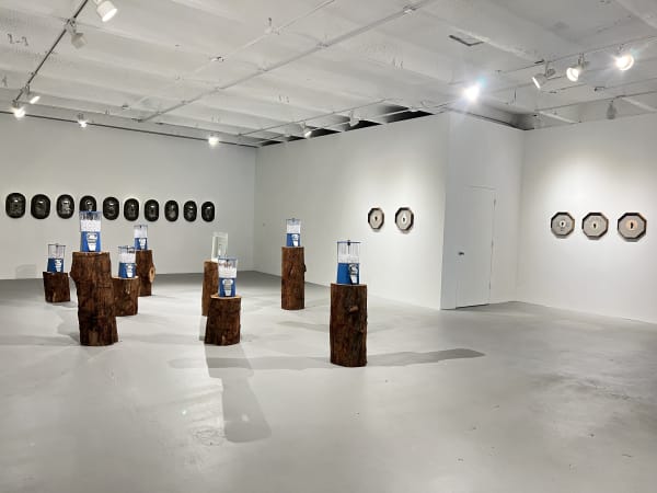Installation View 14