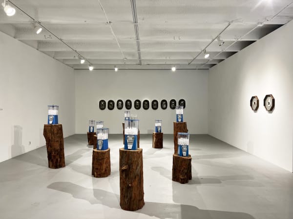 Installation View 15