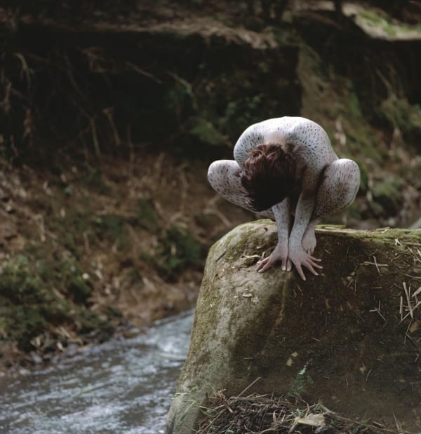 Cecilia Paredes - The Dream, 2022