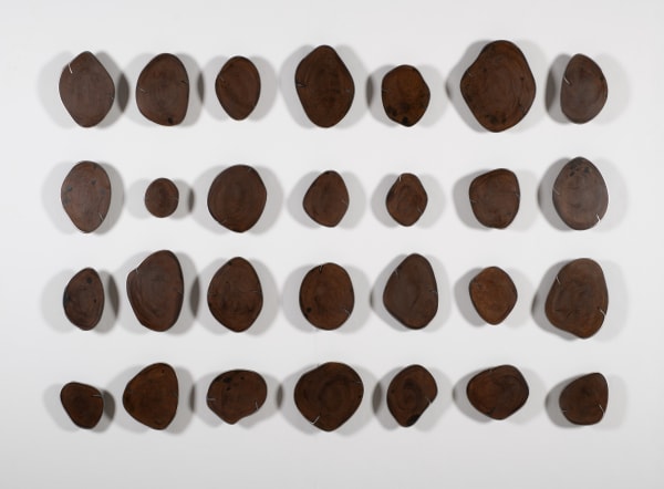 Carolina Sardi: Whispers of Nature