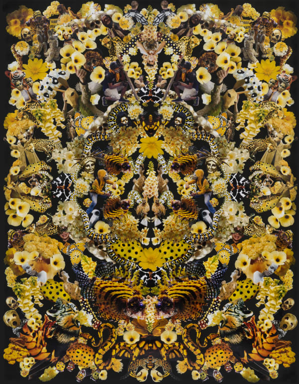 Jemima Wyman, Flourish 7, 2020 hand cut photos on paper, 52 x 40 in