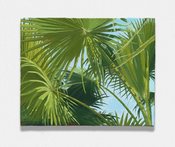 Charis Ammon, Stitches of Sunlight, 2024