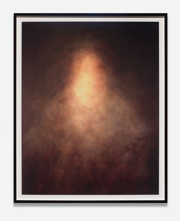 Jason Salavon, Portrait (Rembrandt), 2009