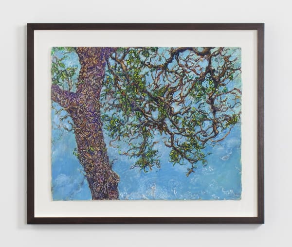 Beth Secor, Pecan Tree, Winter 2013, 2013