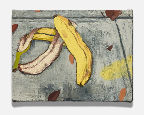 Charis Ammon, Dropping Peels and Losing Leaves, 2022