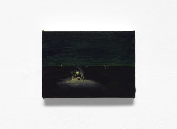 Charis Ammon, Light, 2021