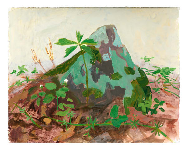 Kristin Musgnug, Study for Virginia Creeper, Wild Strawberry, Wild Grape, Cleavers, and Rock with Lichen, 2022