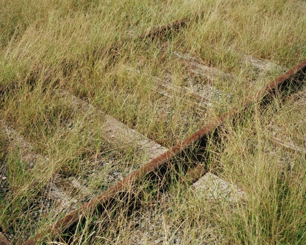 Shane Lavalette, Tracks, 2011