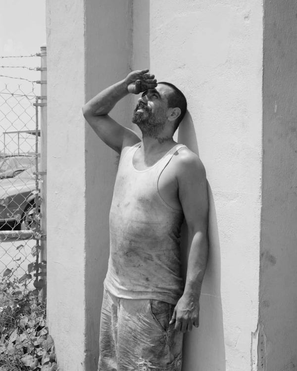 Shane Lavalette, Looking into the Sun, 2010