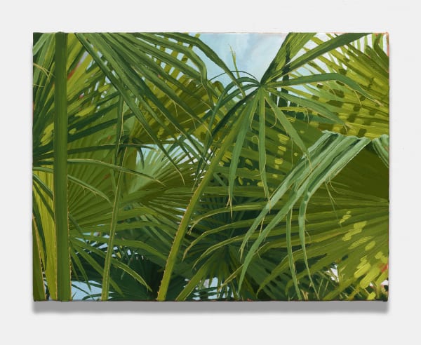 Charis Ammon, Palm Canopy, 2024