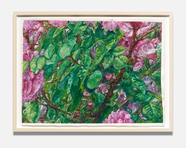 Beth Secor, Roses, Denver, 2025