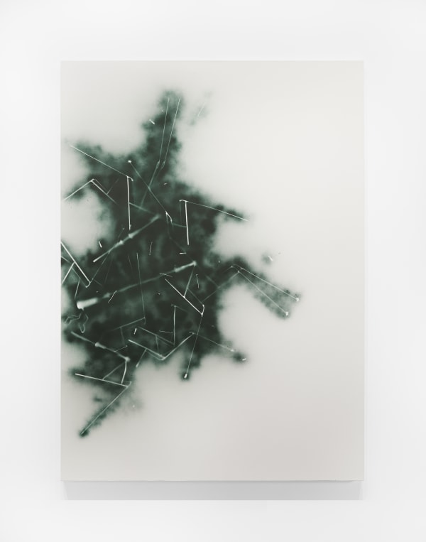 Demetrius Oliver, Signal, 2021