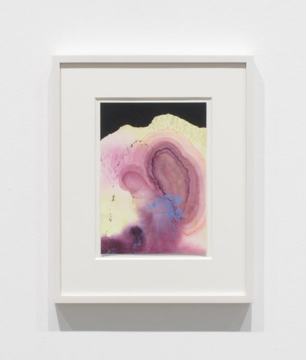 Darren Waterston, Desire no. 2, 2018