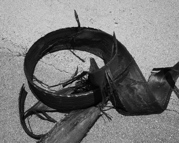 Shane Lavalette, Tire, 2011