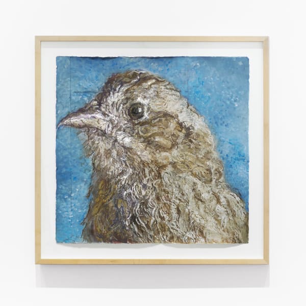 Beth Secor, Sparrow, 2016