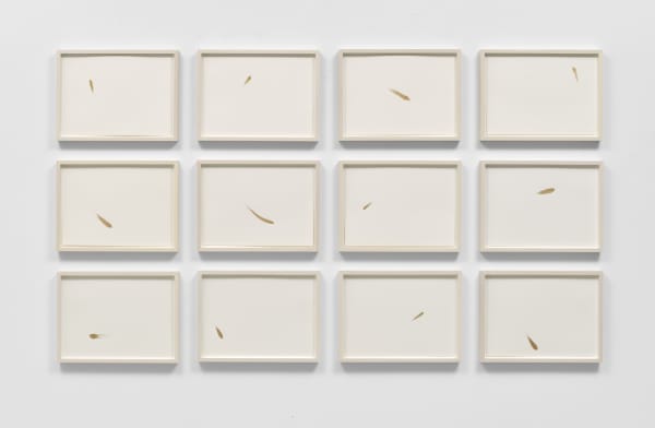 Erika Blumenfeld, Encyclopedia of Trajectories, 2017