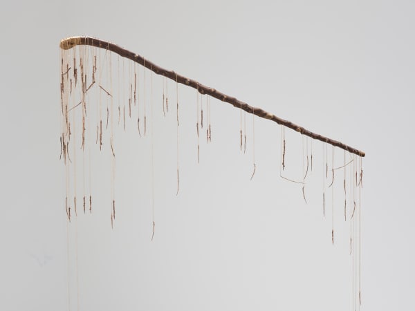 Katrina Moorhead, The Increaser of Secrets, 2024