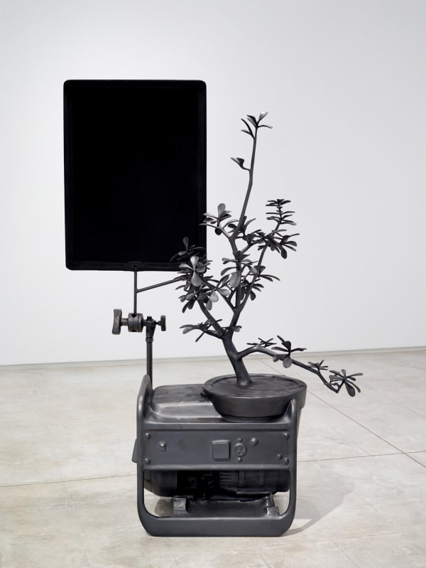 Michael Jones McKean - the shade, 2015