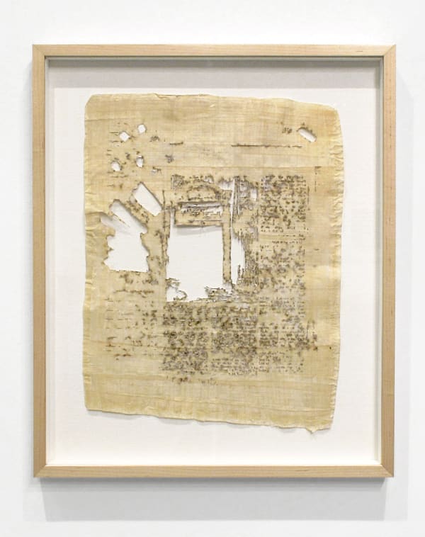 Jamal Cyrus, Eroding Witness (episode #221), 2011