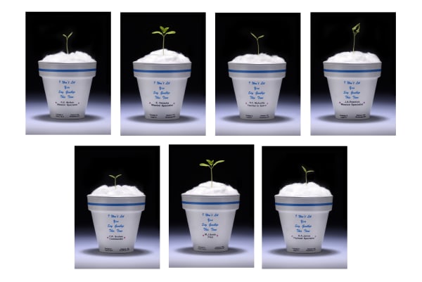 Dario Robleto, I Won’t Let You Say Goodbye This Time, 2001