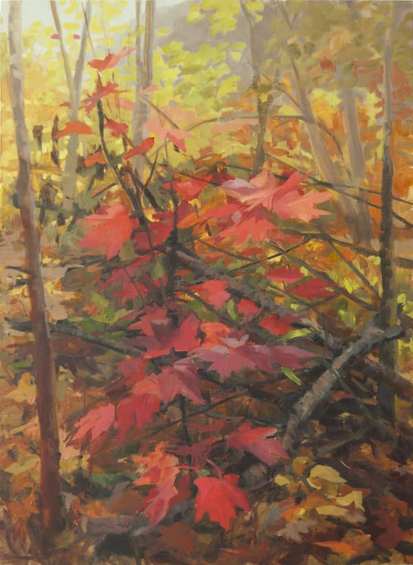 Kristin Musgnug, Red Maple, 2014