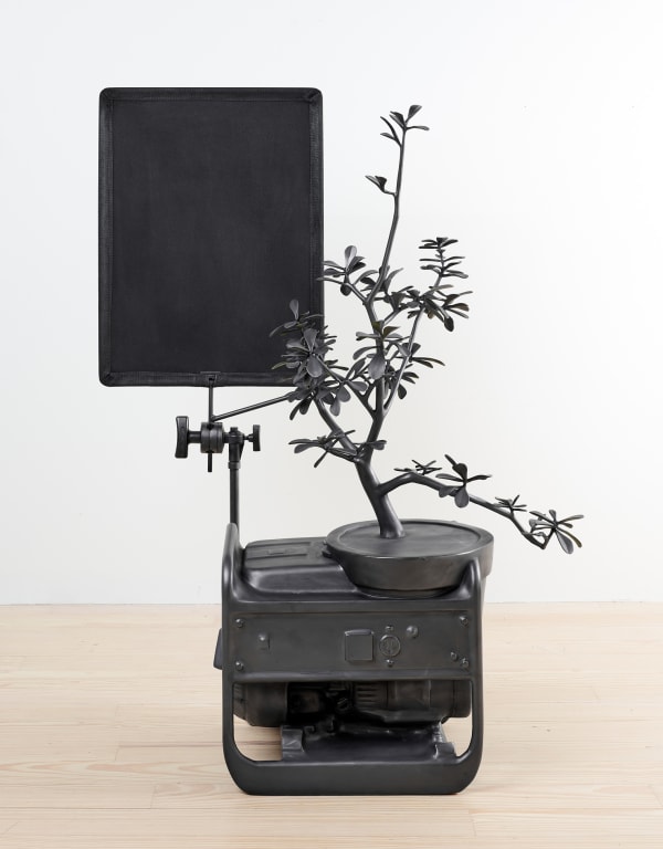Michael Jones McKean - the shade, 2015